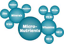 SpectraCell Micronutrients Test